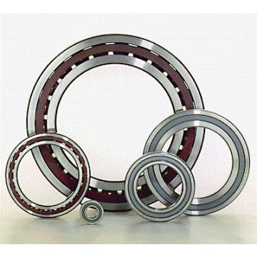 NAS5009 Double Row Cylindrical Roller Bearing 45x75x40mm
