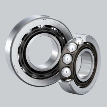 Nylon Caged N1013BTKRCC1P4 Cylindrical Roller Bearing