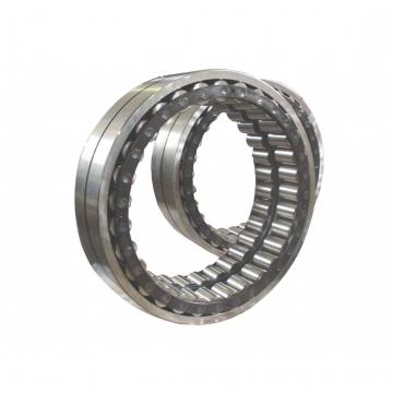 NAS5009ZZNR Double Row Cylindrical Roller Bearing 45*75*40mm
