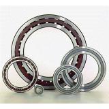 612 21 YRX Overall Eccentric Bearing 22x58x32mm